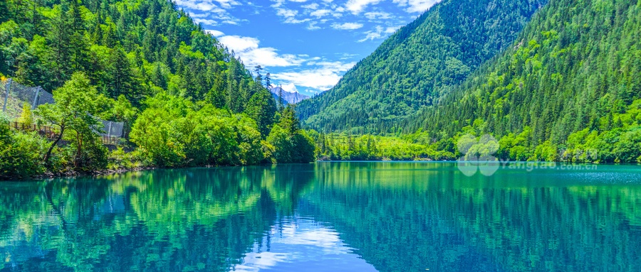 旅居养老机构 旅居养老机构