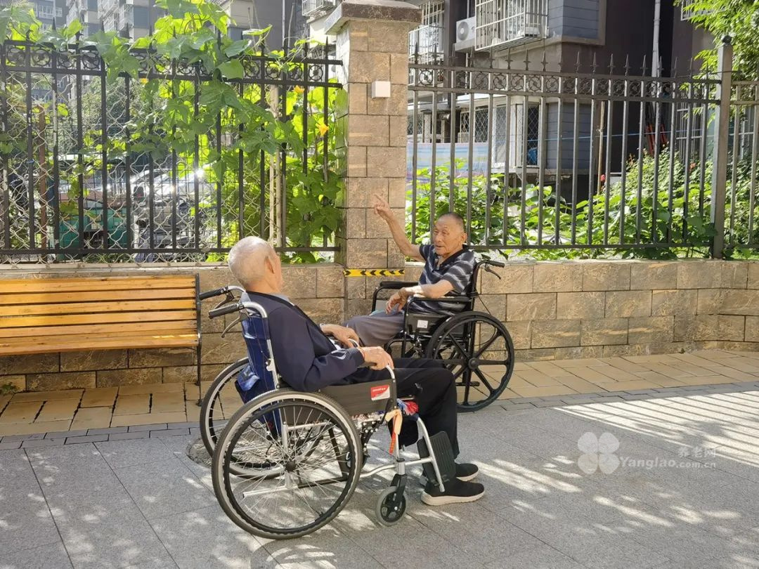 诚和敬长者公馆的春日美好瞬间