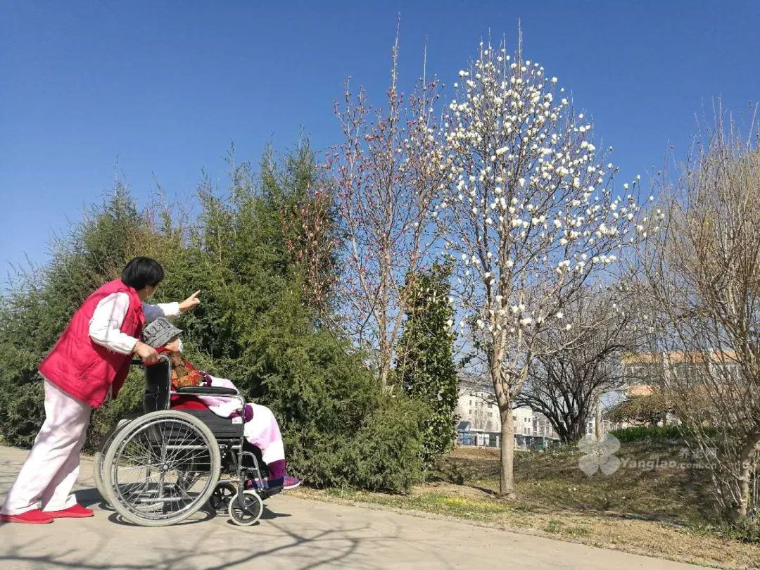 魏善庄镇疫情防控 魏善庄镇疫情防控