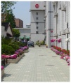 上海杨浦区红日养老院图片