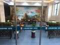 上海金色怡福护理院图片