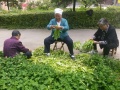 红河谷专业老年健康长寿社区图片