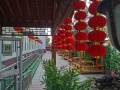 北京市丰台区福康家园养老院图片