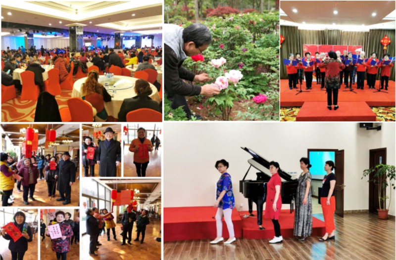 2.上海浦东最好的养老院是什么？