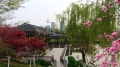 上海康乐福养老院图片