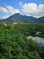三亚椰岛阳光度假公寓图片
