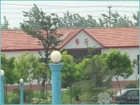 淄博市周村区保健养老护理服务中心图片