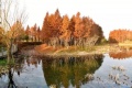 国寿魅力花园（苏州）养老社区阳澄湖项目图片