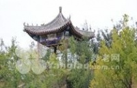 北京市丰台区北宫森林老年疗养中心图片