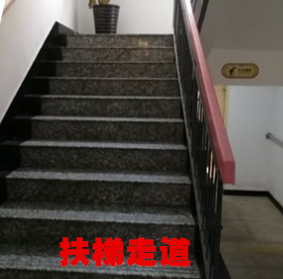 2025最新平价独居老人照料机构，上海普陀宜川泰山敬老院，规范服务+低价普惠可预约-养老网精选